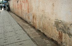 Paan Stains The Ugly Indian