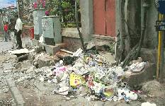 Filth on the Footpath The Ugly Indian